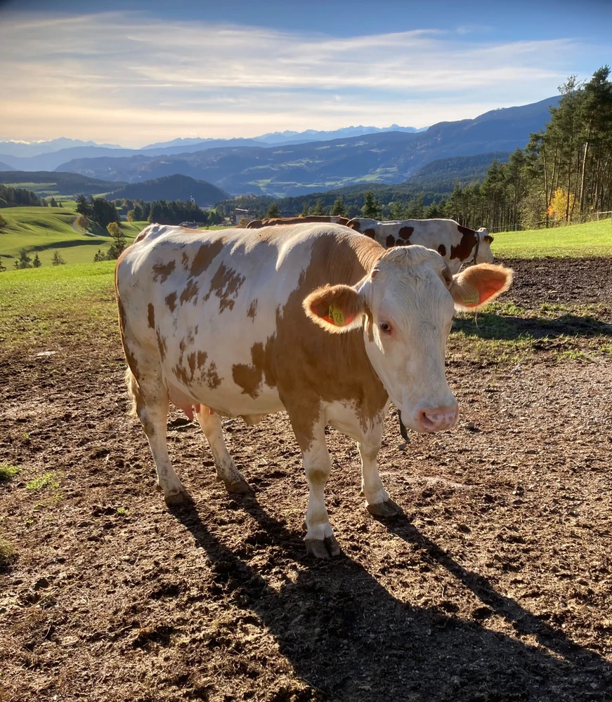 GIF ℳ𝒾𝒹𝓃𝒾ℊ𝒽𝓉 tarapyndan ýüklenen