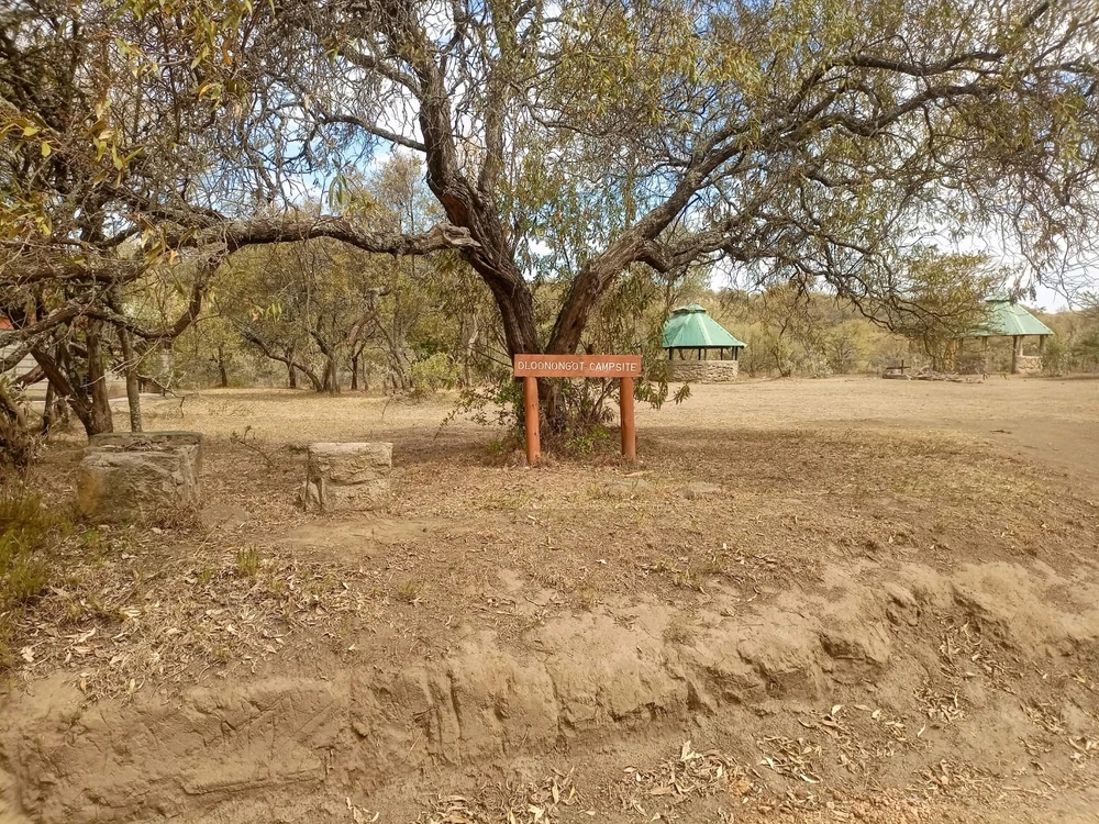 Image uploaded by Bee