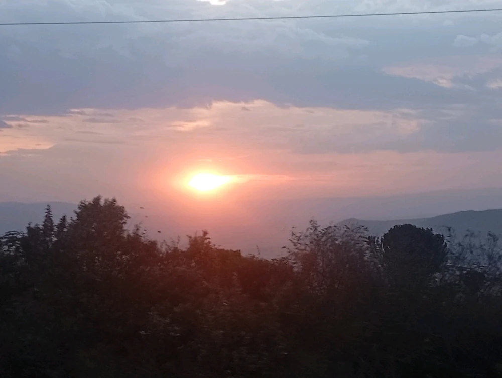 Image uploaded by Bee