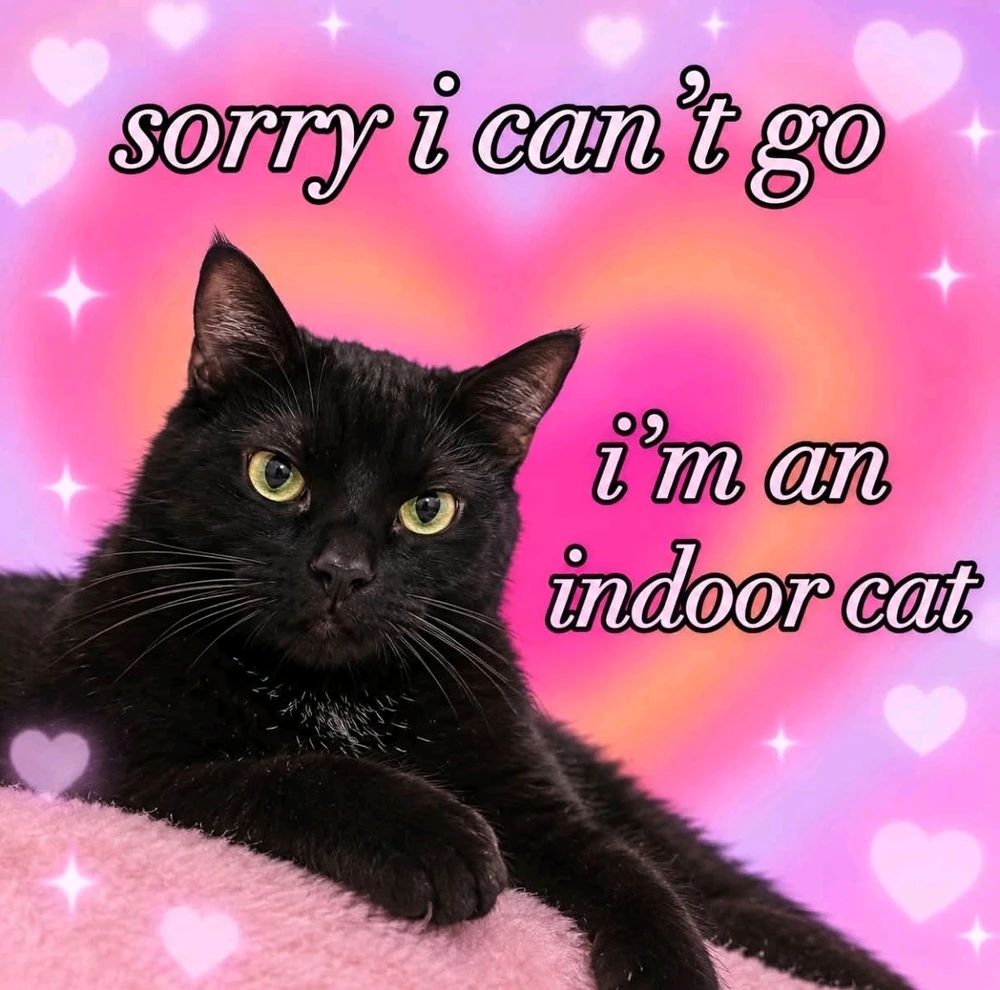 GIF uaslódáilte ag Minnae
