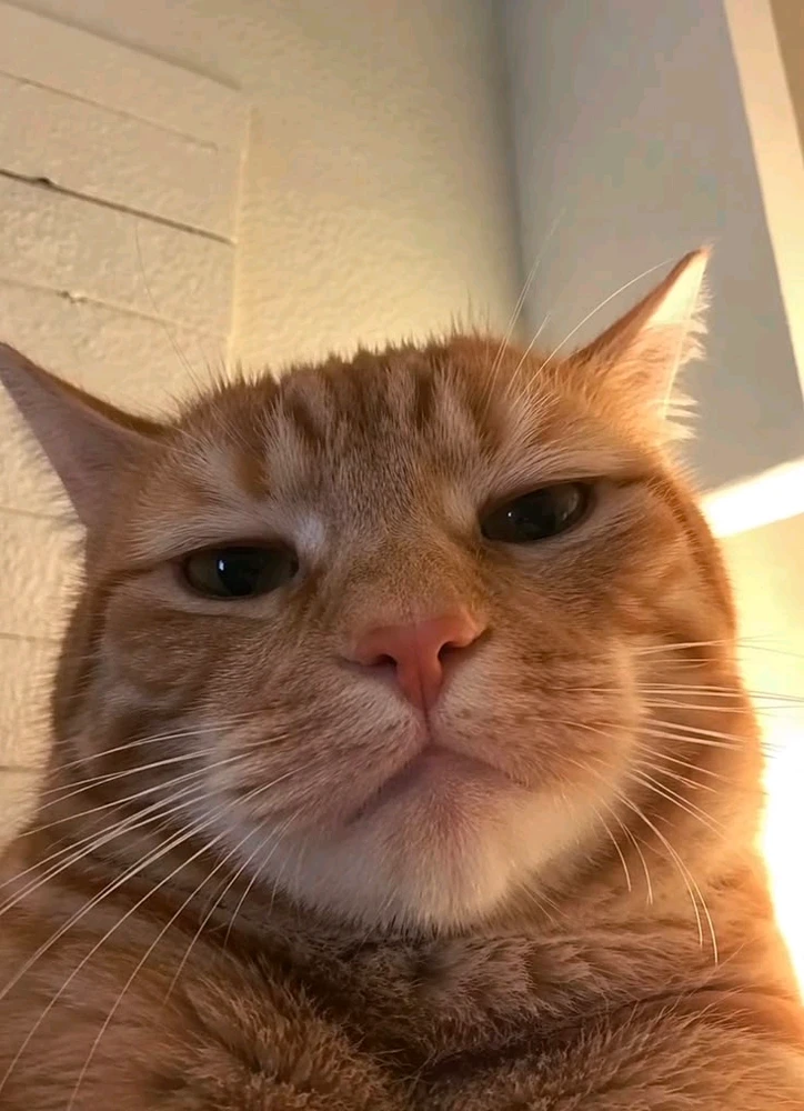 GIF diunggah ku Hana Dee