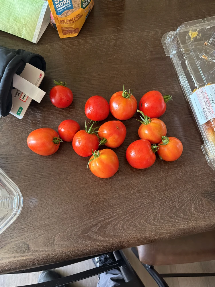 This is from the tomato plant 