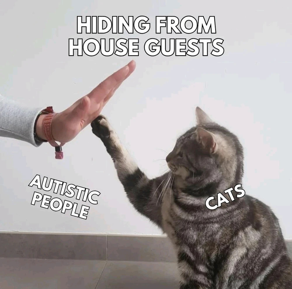 GIF uaslódáilte ag Andy