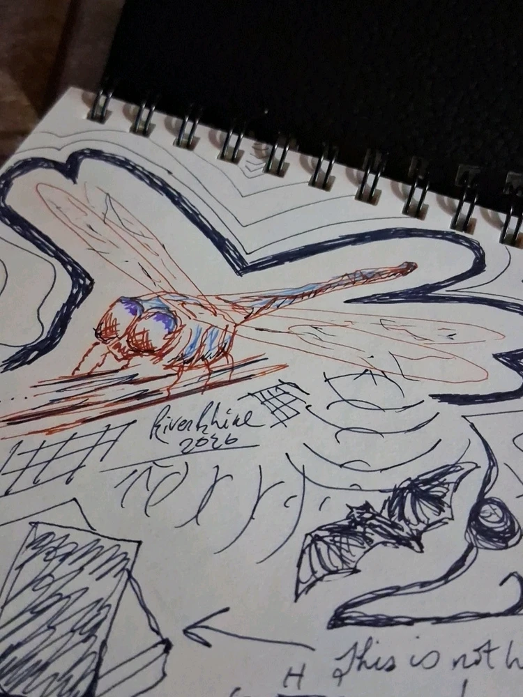 Penned dragonfly in a sketchbook