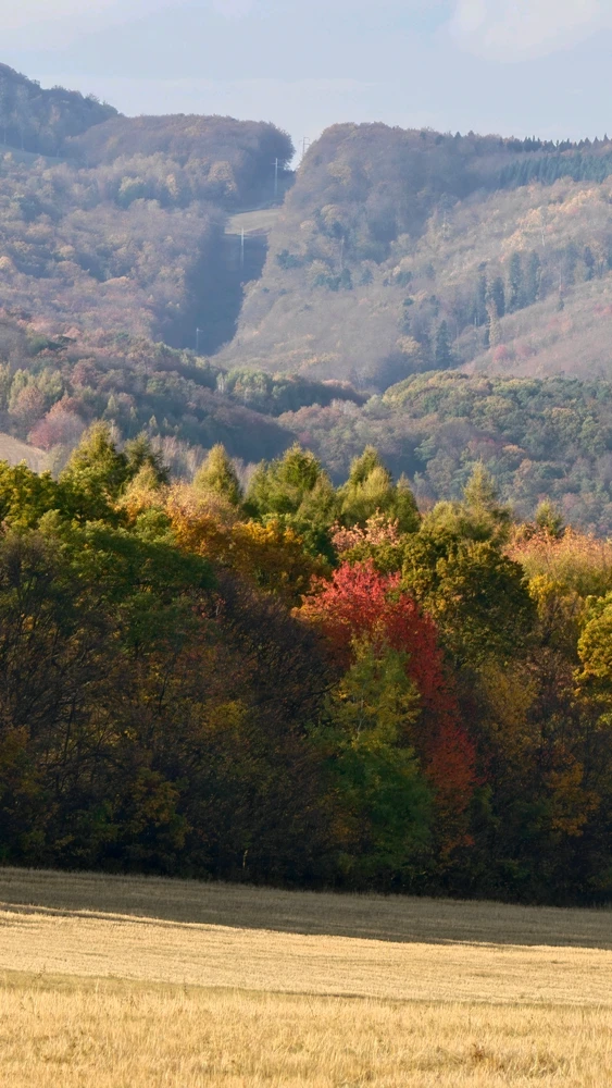 GIF uploaded by Arthur