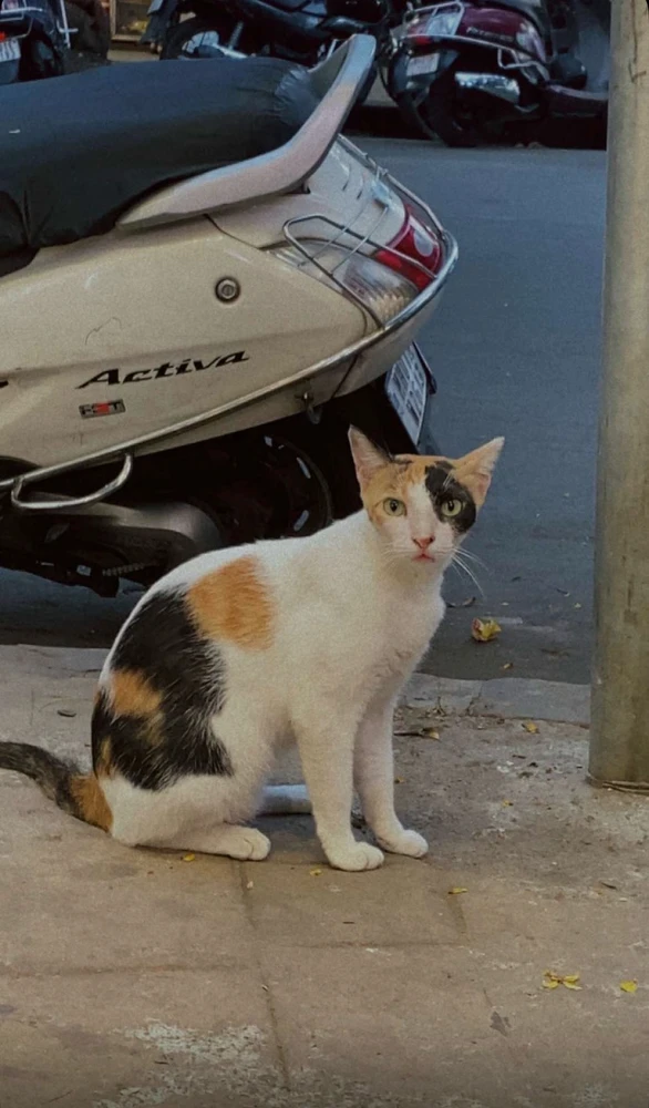 GIF uploaded by Somesh