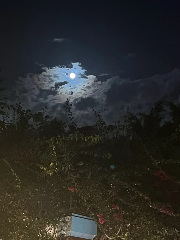 GIF uploaded by Shady