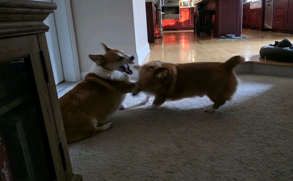 GIF uploaded by matt