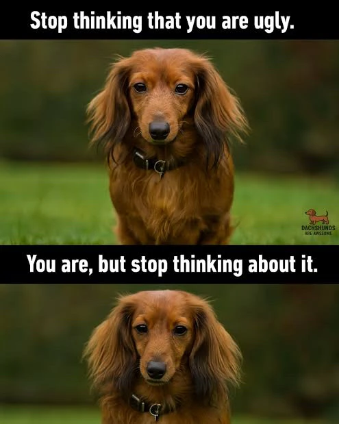 GIF uaslódáilte ag Ell