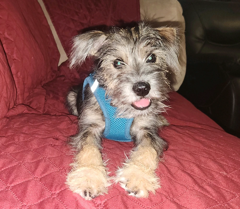 GIF uploaded by Elle