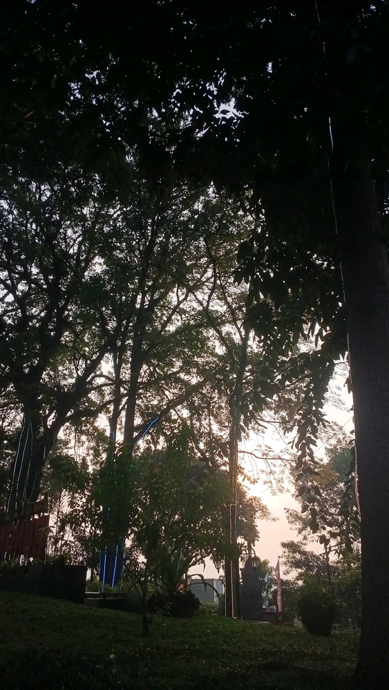 GIF subido por Naana
