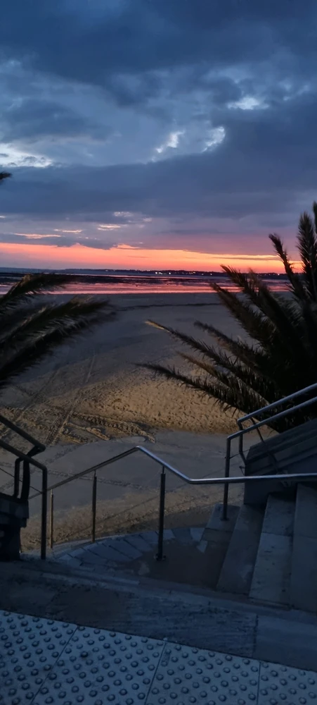 GIF uploaded by Flo