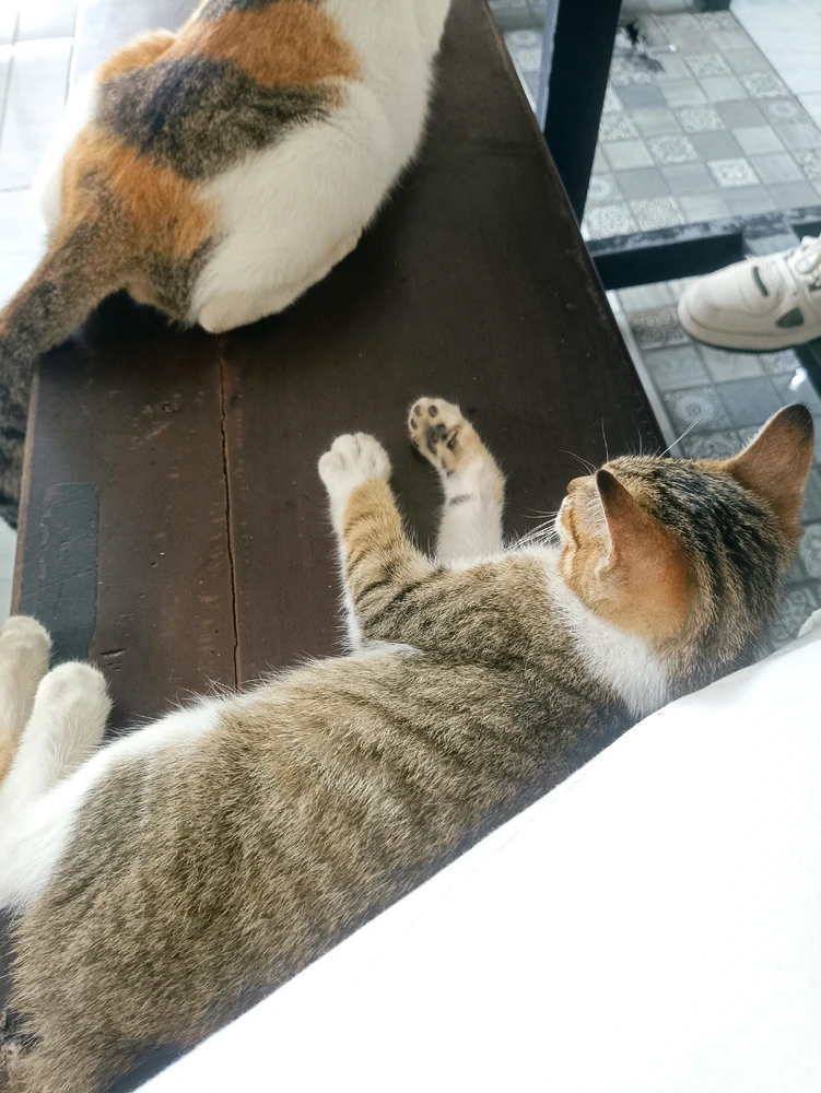 Image uploaded by Nada