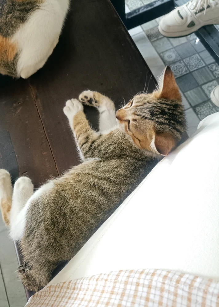 Image uploaded by Nada