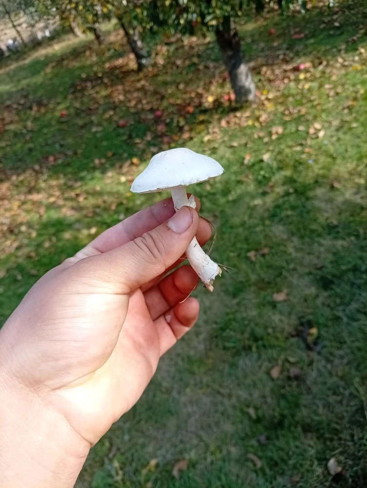 由Kas上传的图片