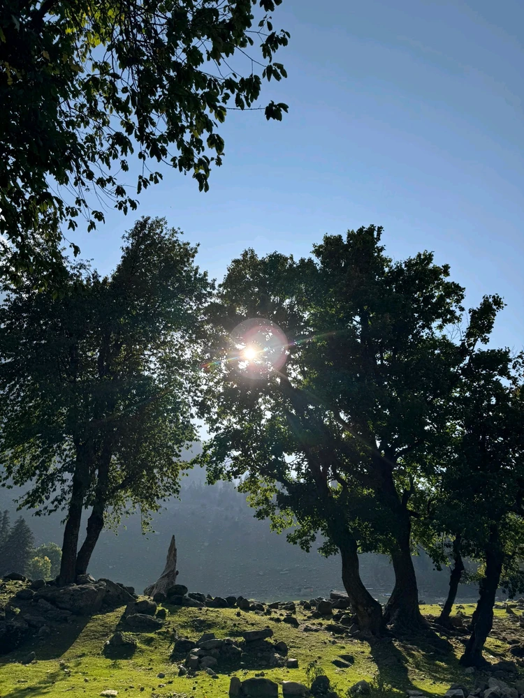 GIF uploaded by Vansh