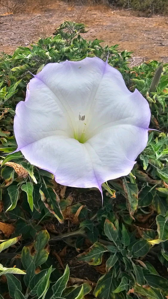 GIF uploaded by Jordi