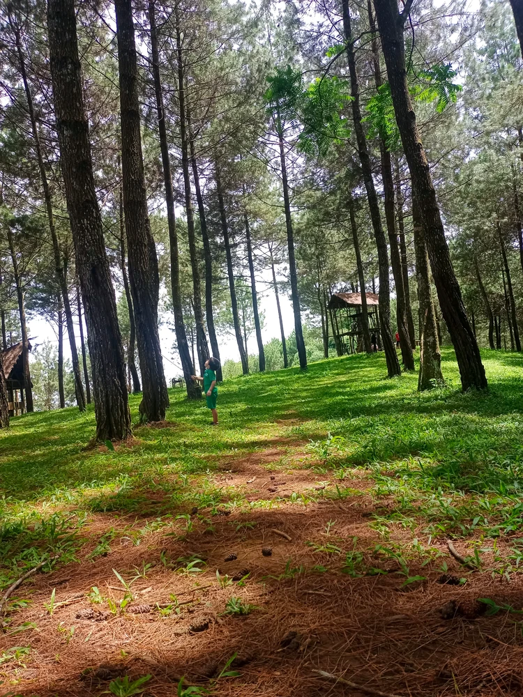 GIF uploaded by Habibah