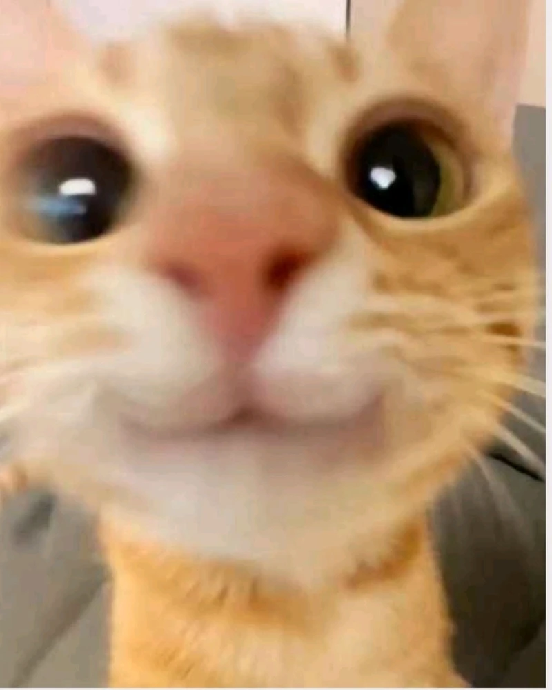 Jayden上传的GIF