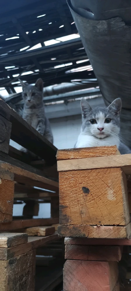 GIF učitao/la Valerie