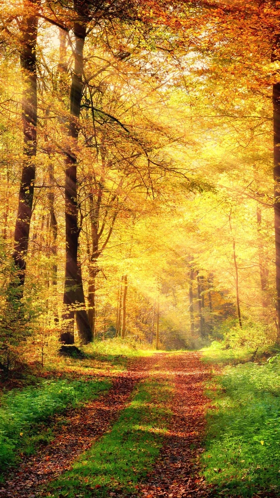 GIF uploaded by Rashid