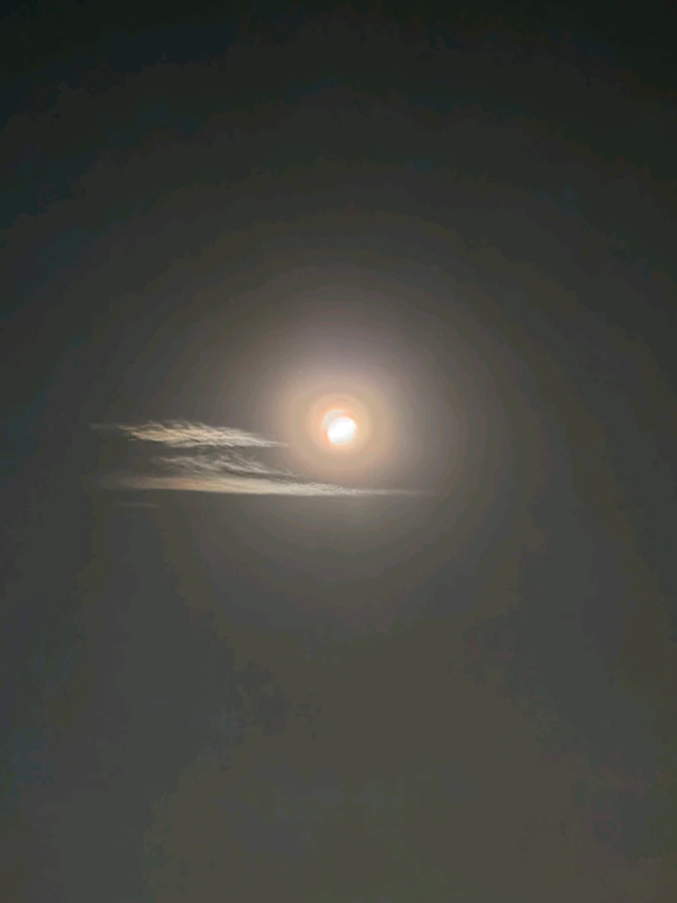 GIF uploaded by J Z