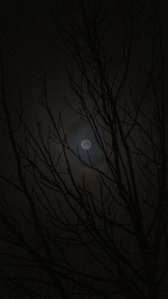 GIF uploaded by V