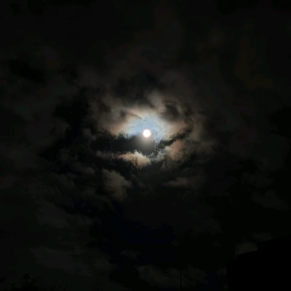 Image uploaded by Sirius