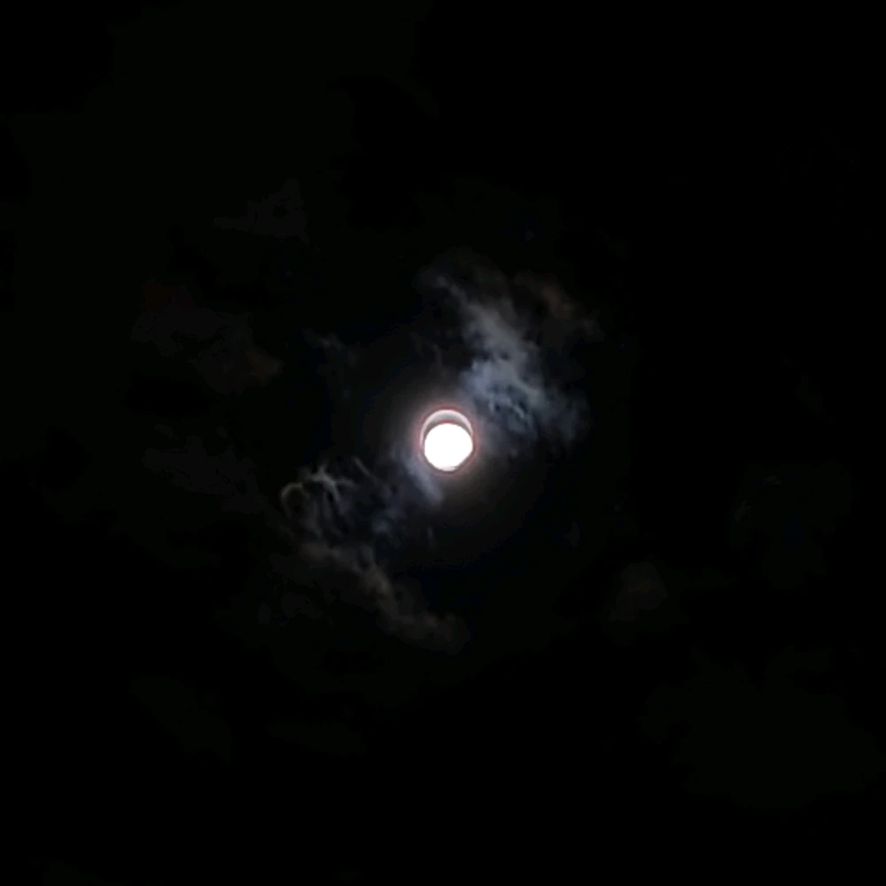 Image uploaded by Sirius