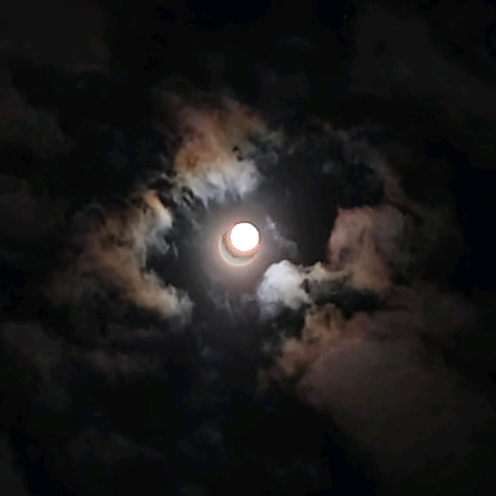 Image uploaded by Sirius