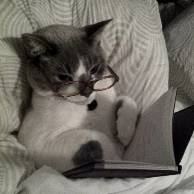 GIF uploaded by Joy