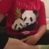 由Alan Mandel上传的图片