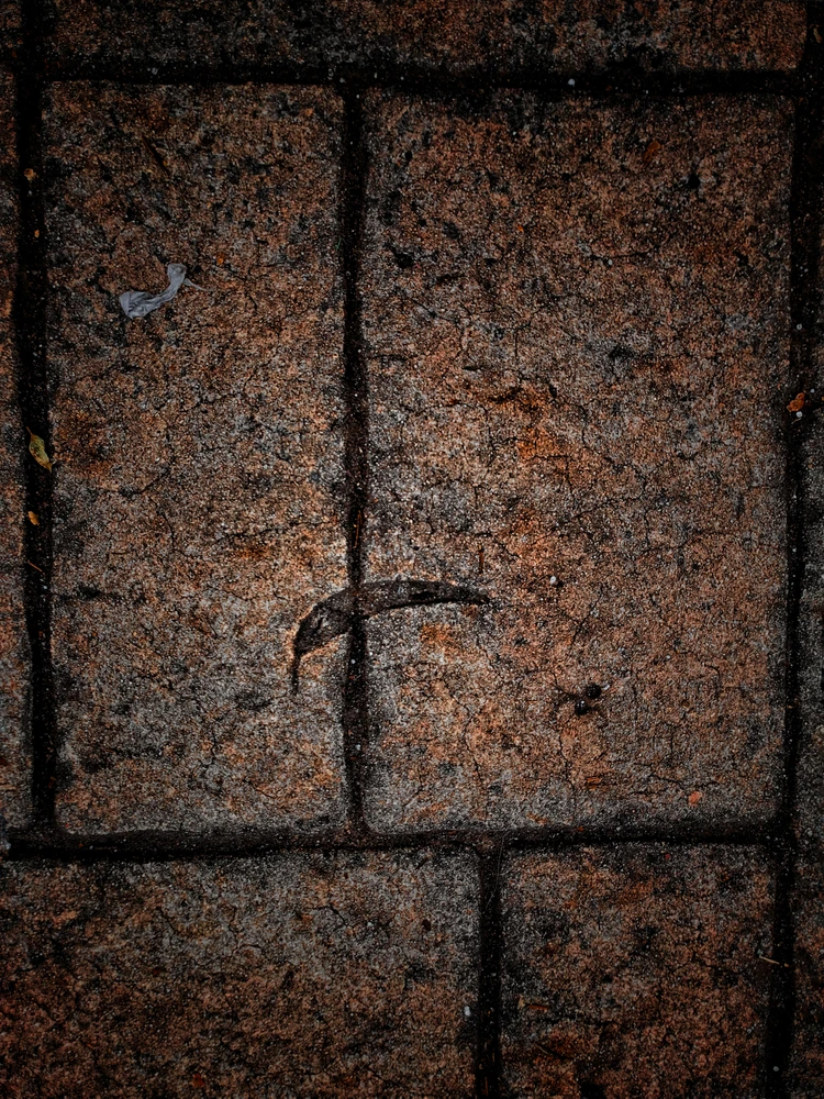 GIF uploaded by Mg