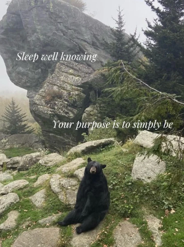 GIF kashh tarapyndan ýüklenen