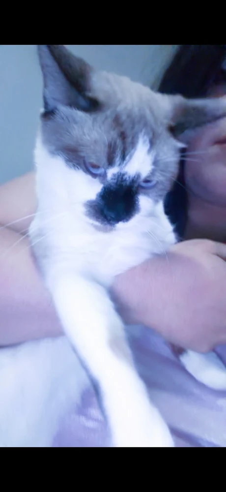GIF imtella' minn Carla