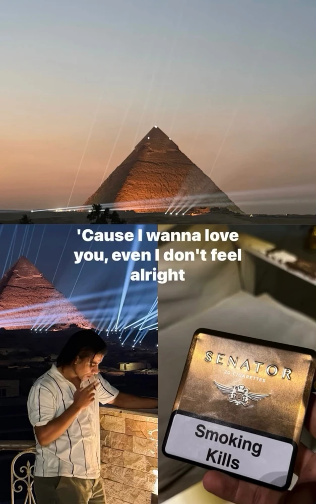 GIF eropgeluede vum ARABI