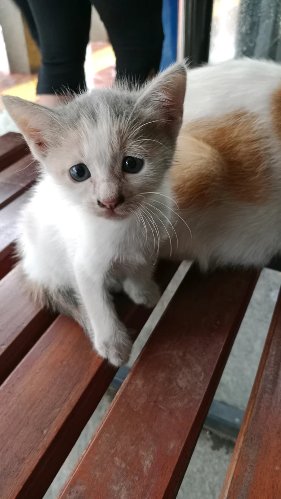 GIF enviado por Immanuella