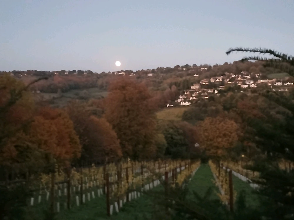 GIF uploaded by Jamie