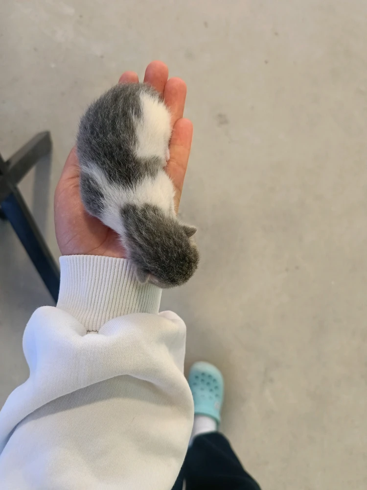 GIF diunggah ku Buse