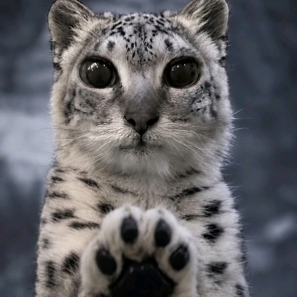 GIF uploaded by Ari