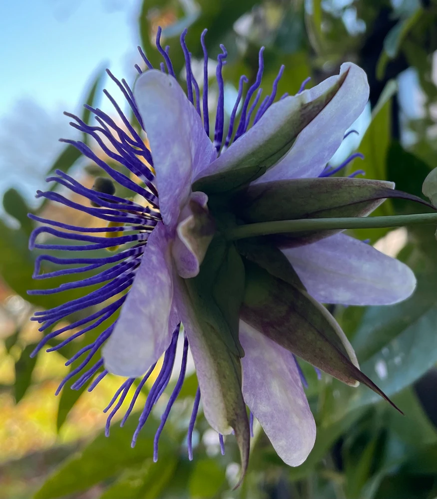Image uploaded by Ernie