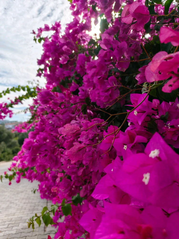 GIF uploaded by Hamza