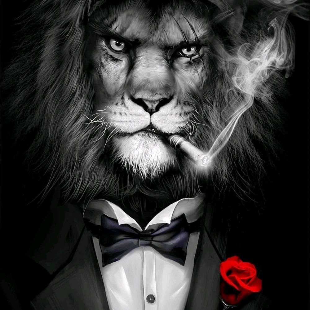 GIF uploaded by MBP