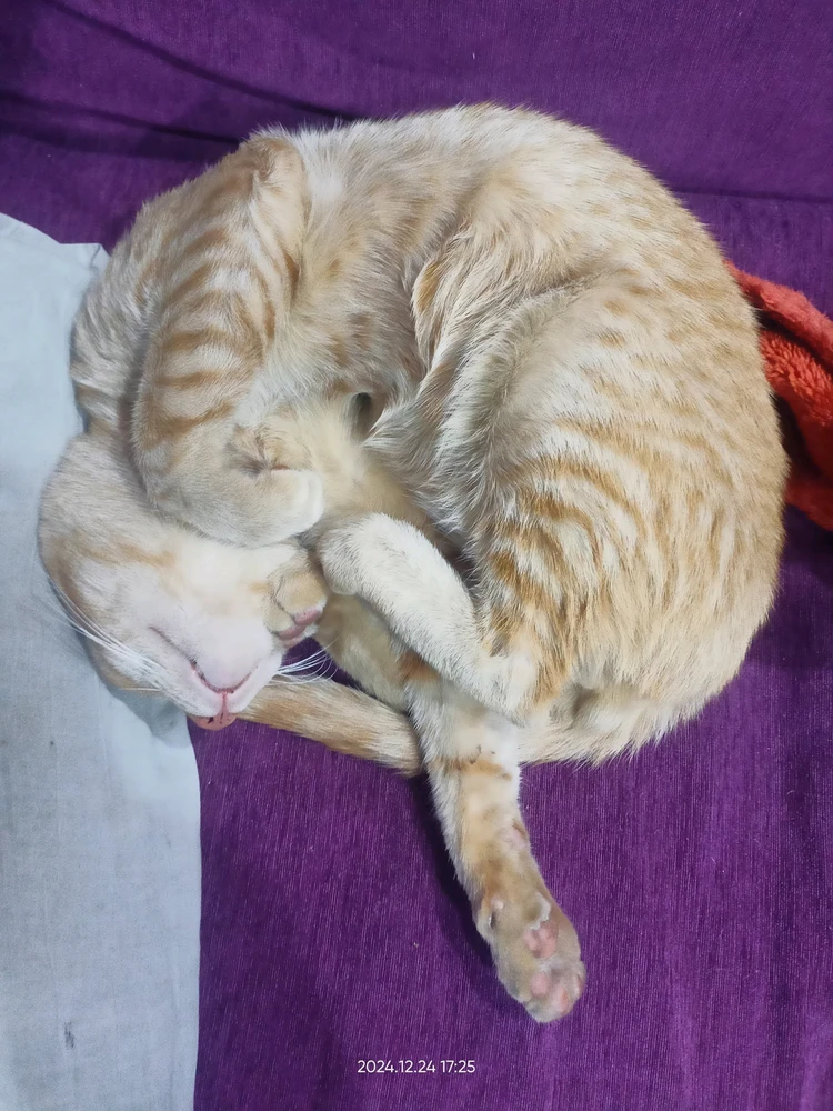 GIF uploaded by Kaif