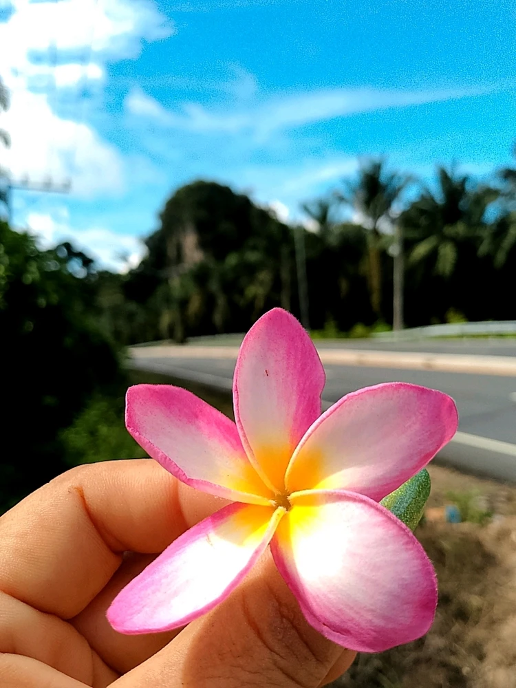 Image uploaded by Love