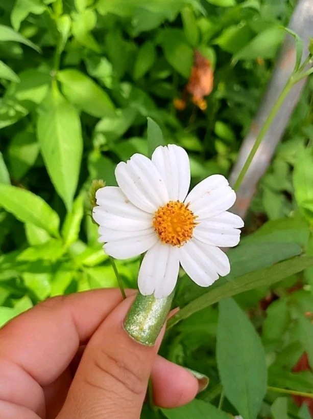 Image uploaded by Love