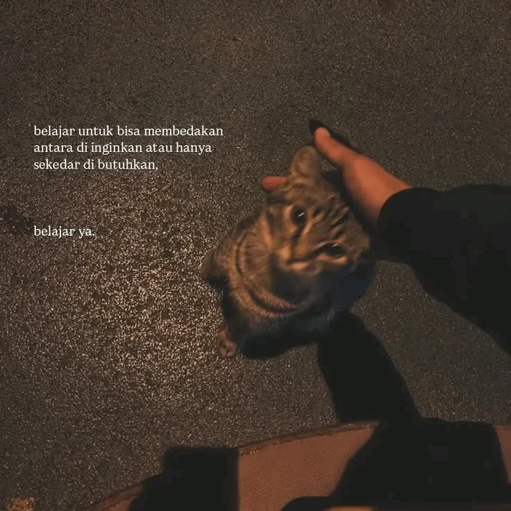 GIF uploaded by raisa