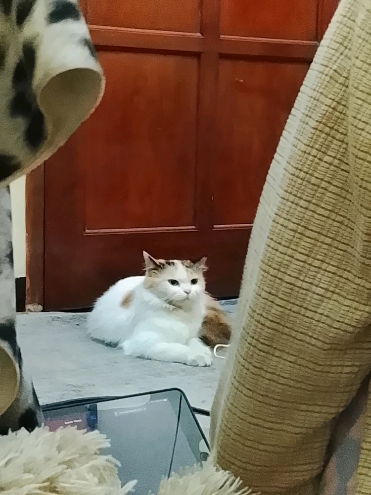 GIF ilipakiwa na Risma