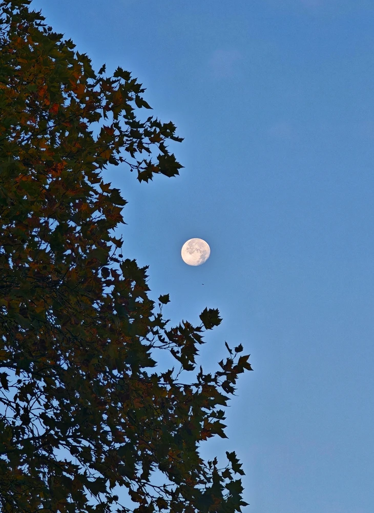 Image uploaded by Boriss