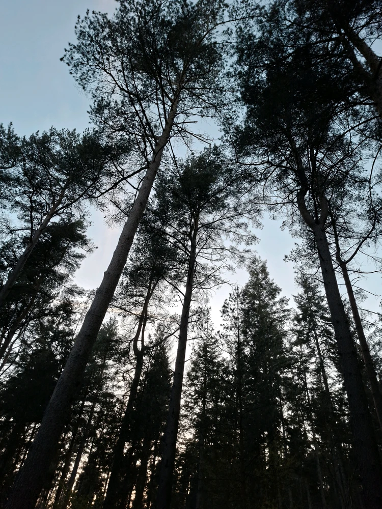 GIF uploaded by ⭐James⭐